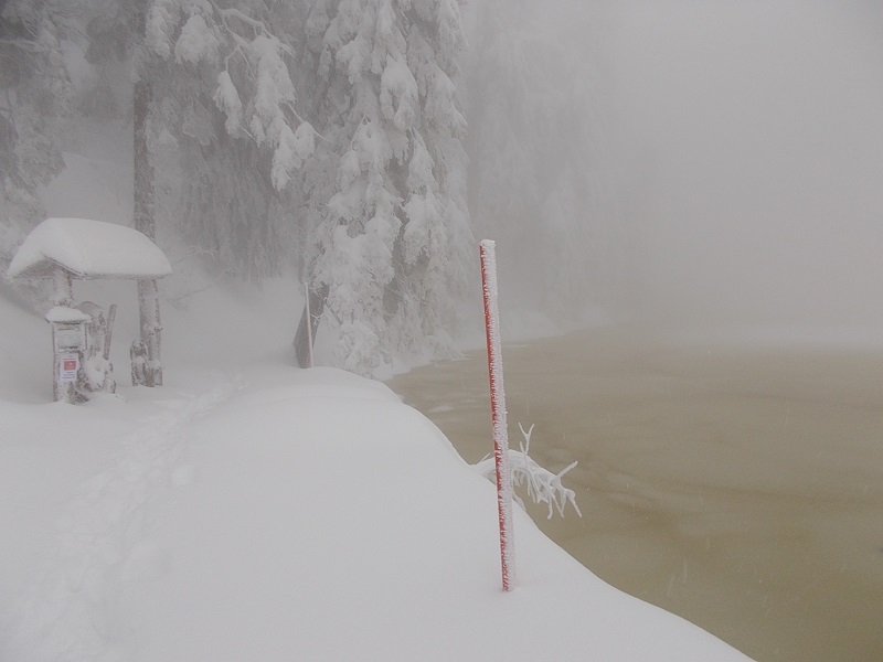 Winter hat gerade erst angefangen, Schneematsch statt Eisschicht.