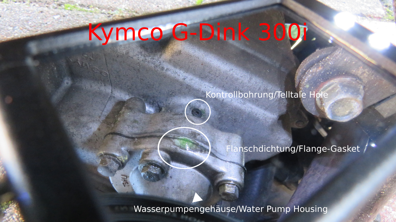 G-Dink300i Wasserpumpe_Waterpump