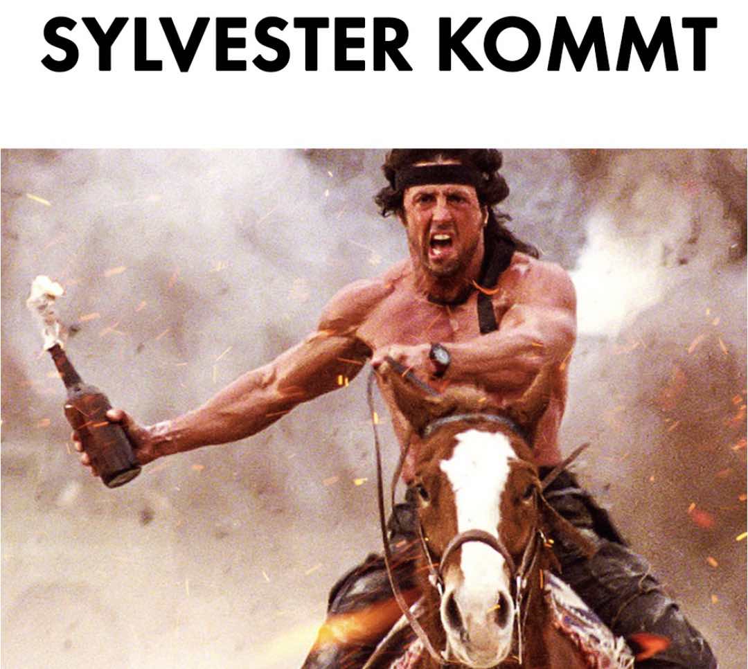 Sylvester kommt.jpg