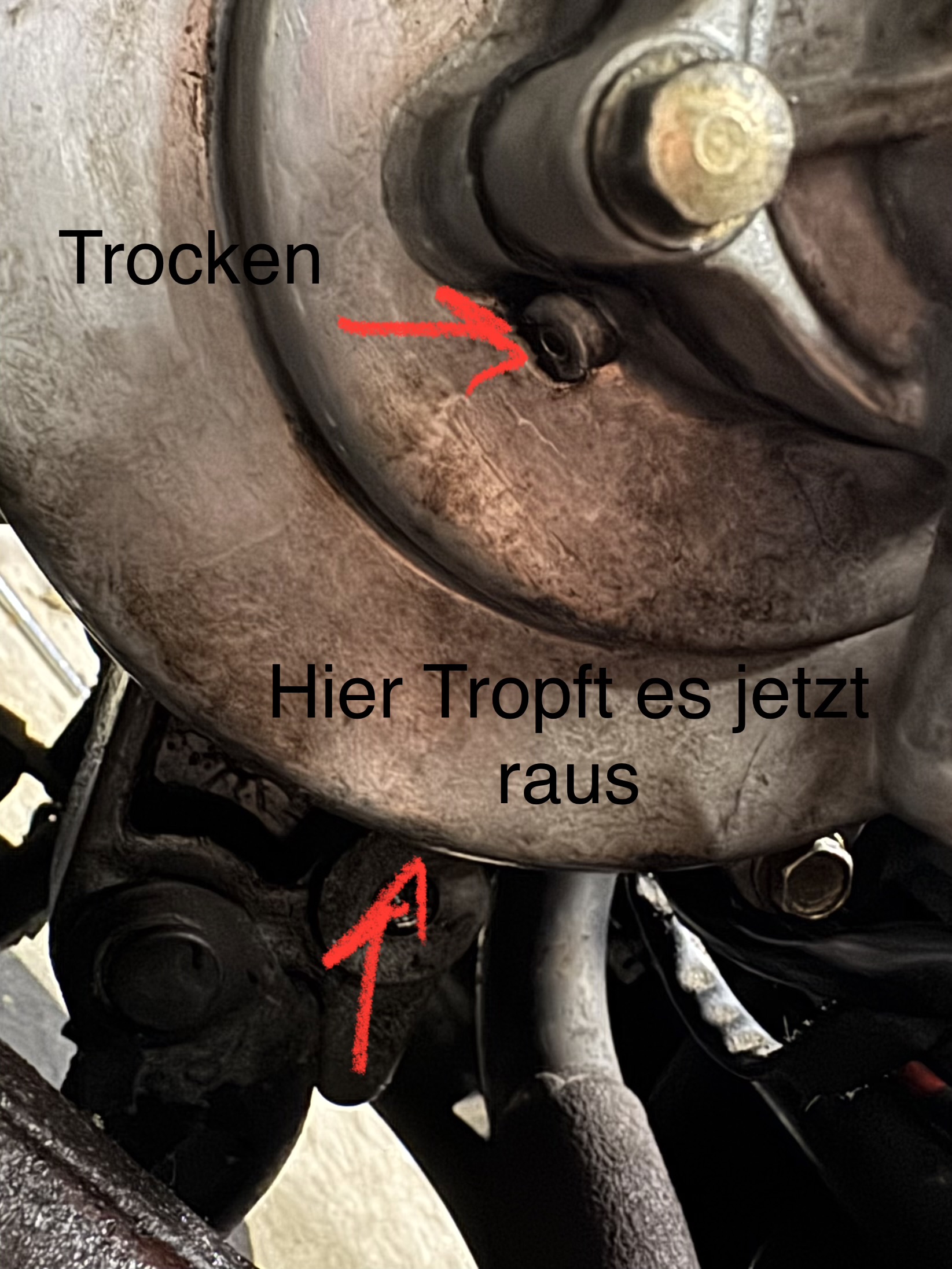 IMG_9908.jpeg